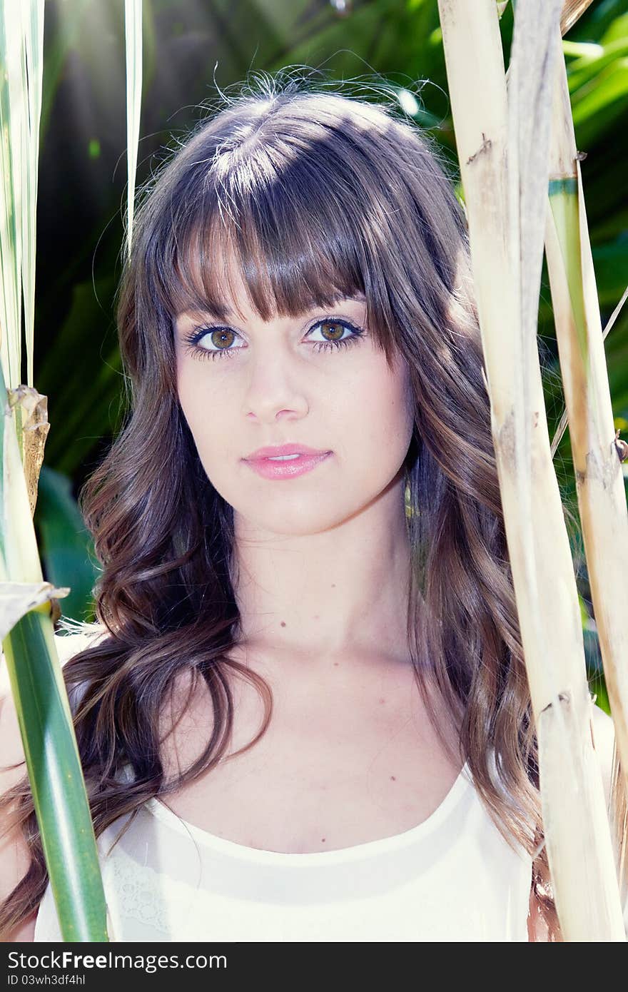 Portrait of a beautiful young woman standing amidst bamboo. Portrait of a beautiful young woman standing amidst bamboo.