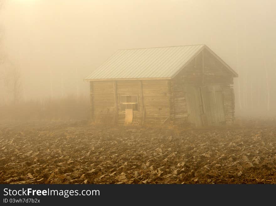 November morning mist and an old shed.