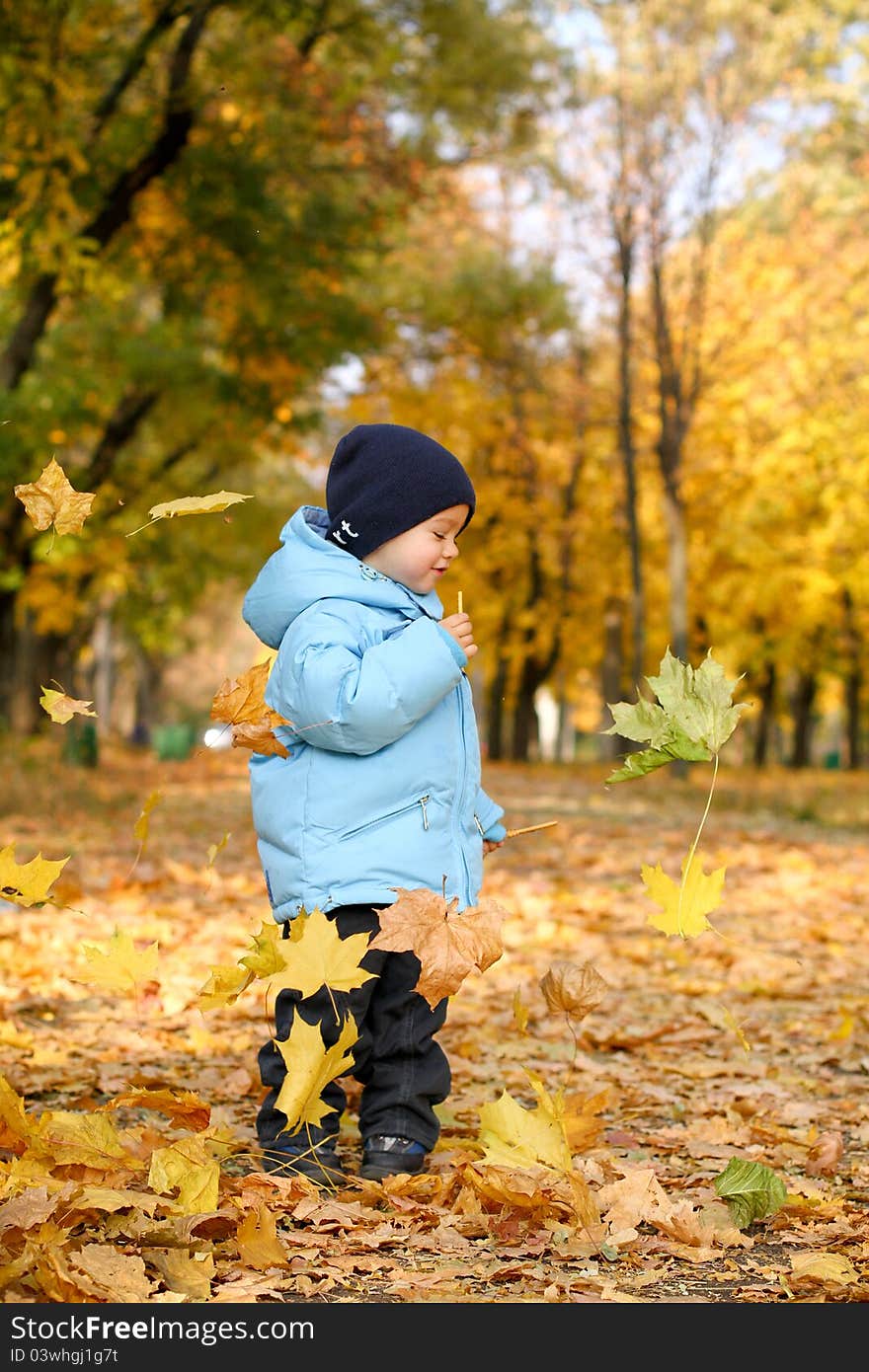 Little boy in autumn park