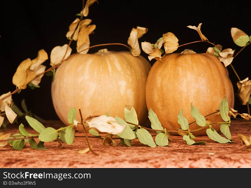 Pumpkins have always been seen as something more than just a vegetable. In Anglo-Saxon countries pumpkin is used for the construction of the Jack o lantern, lantern rudimentary feature used during Halloween to ward off witches and ghosts that come out during the holidays by "GREENWOOD", connecting the world of the living to the dead