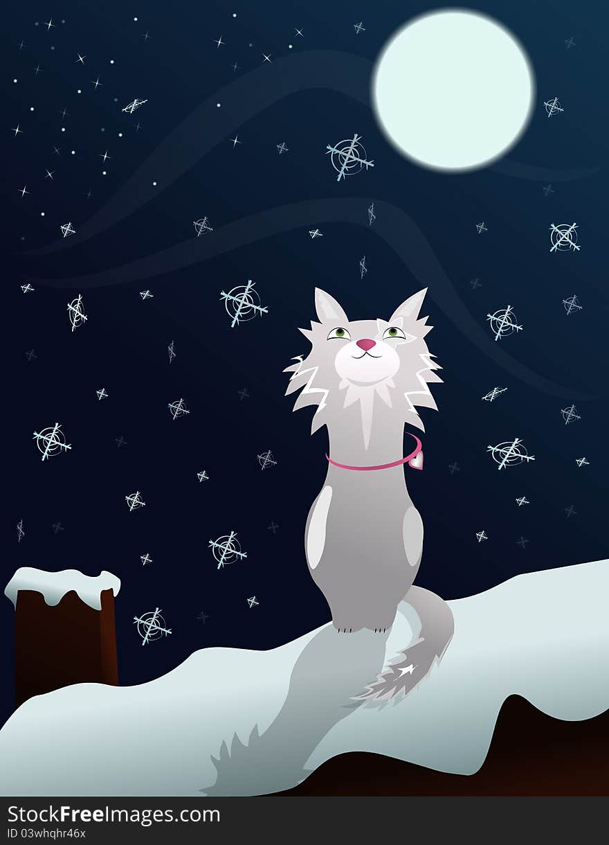 Cat on snowed roof, night with moonlight. Cat on snowed roof, night with moonlight