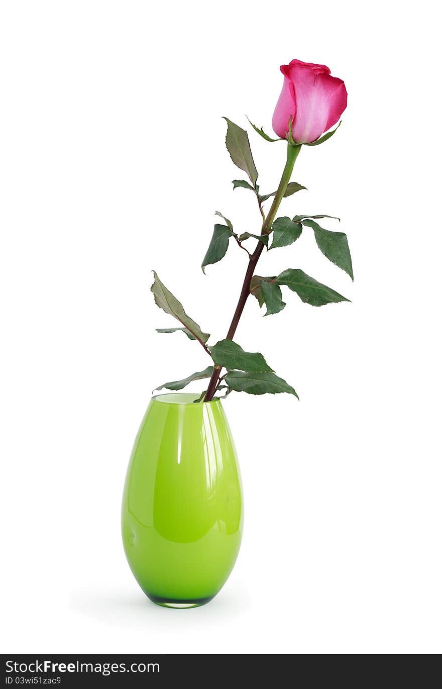 Rose In Vase