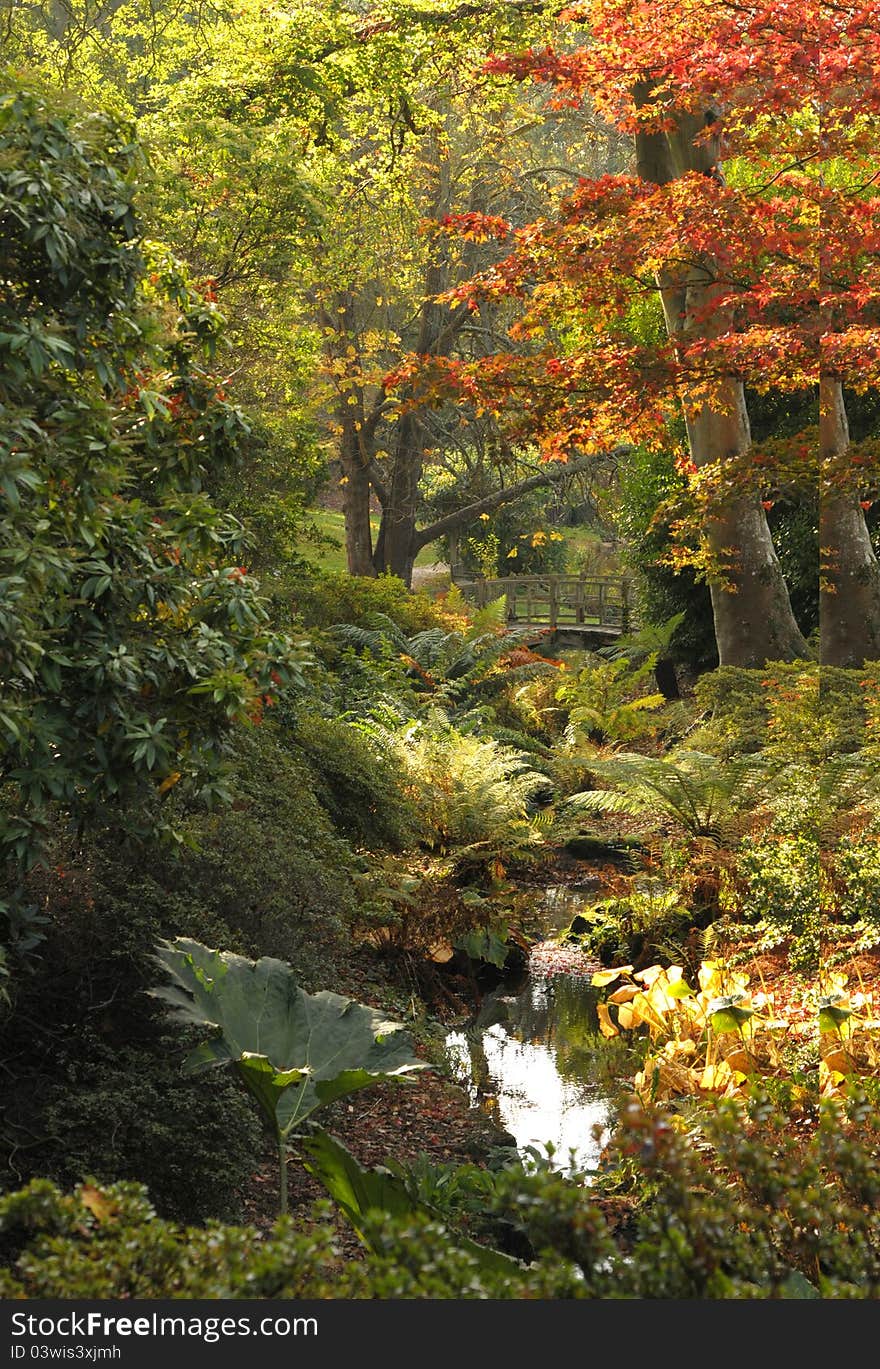 England in the autumn. Winter woodland with a stream and ornate bridge. England in the autumn. Winter woodland with a stream and ornate bridge.