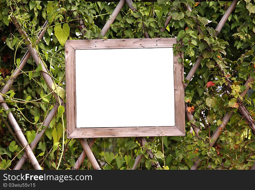 Wooden board on bamboo fence with ivy