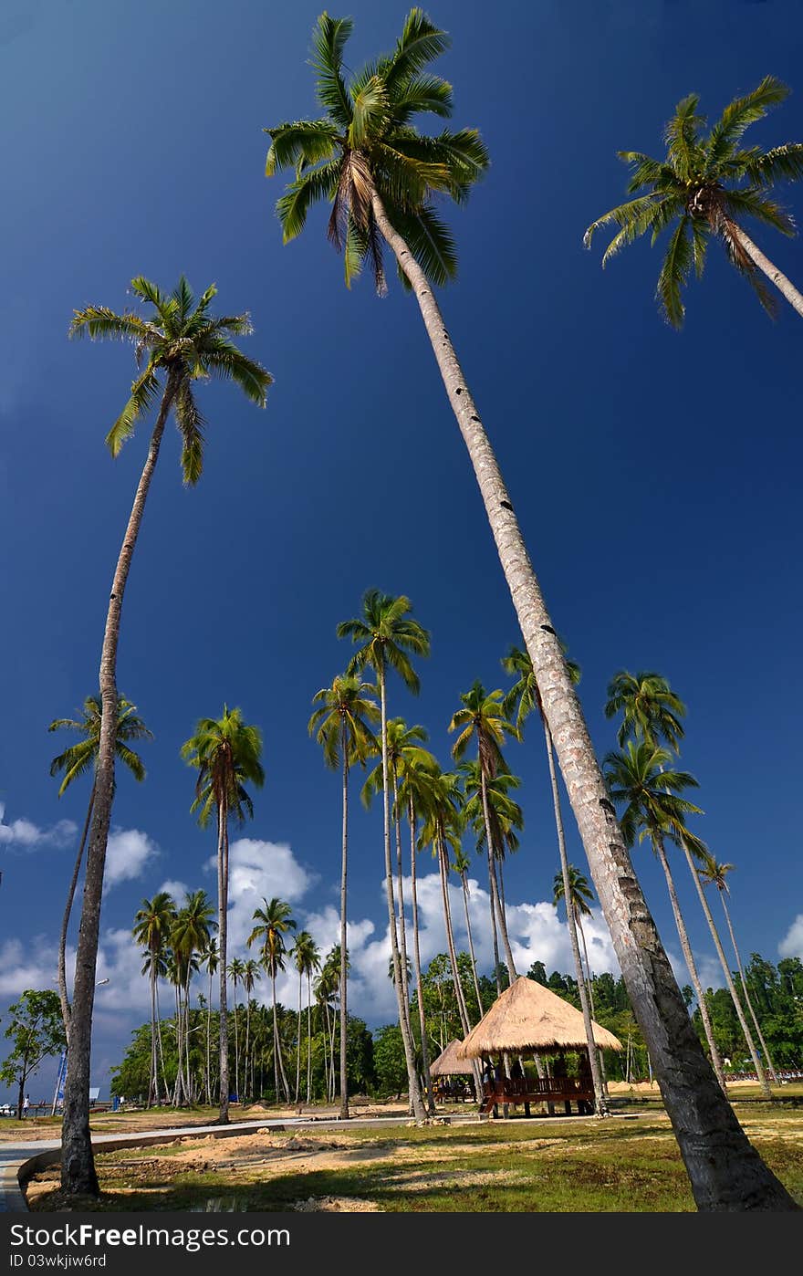 Beach, cocconut tree and cottages on sunny day with beautiful blue sky as background. This picture taken in public beach of Waisai, Raja Ampat Island, papua , Indonesia. Beach, cocconut tree and cottages on sunny day with beautiful blue sky as background. This picture taken in public beach of Waisai, Raja Ampat Island, papua , Indonesia