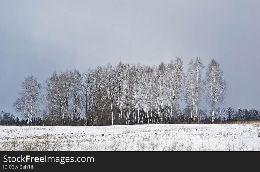 Sulky day at the end of winter. Sulky day at the end of winter