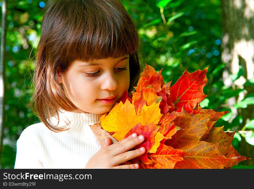 The little girl gathered a beautiful autumn maple leaves and pressed it to yourself. The little girl gathered a beautiful autumn maple leaves and pressed it to yourself