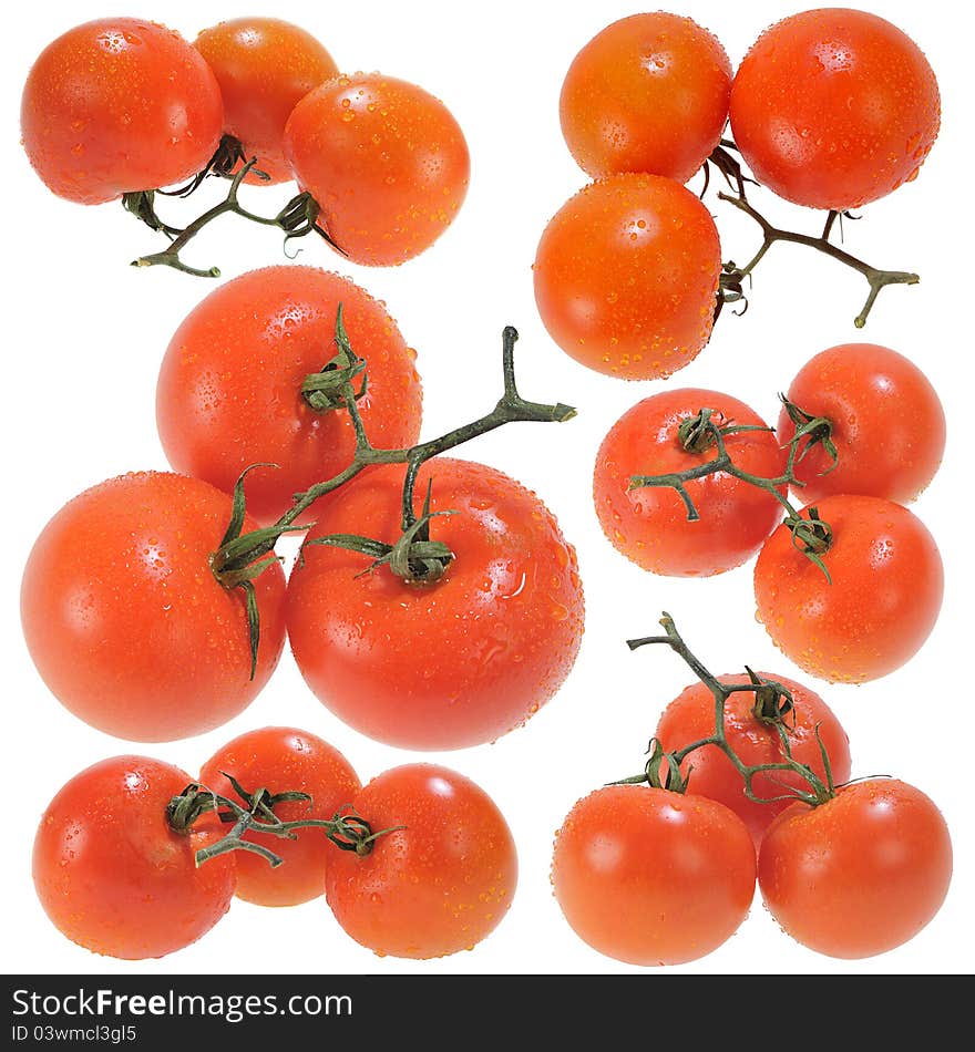 Three Red Tomatoes