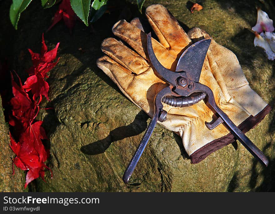 Garden scissors on leather gloves