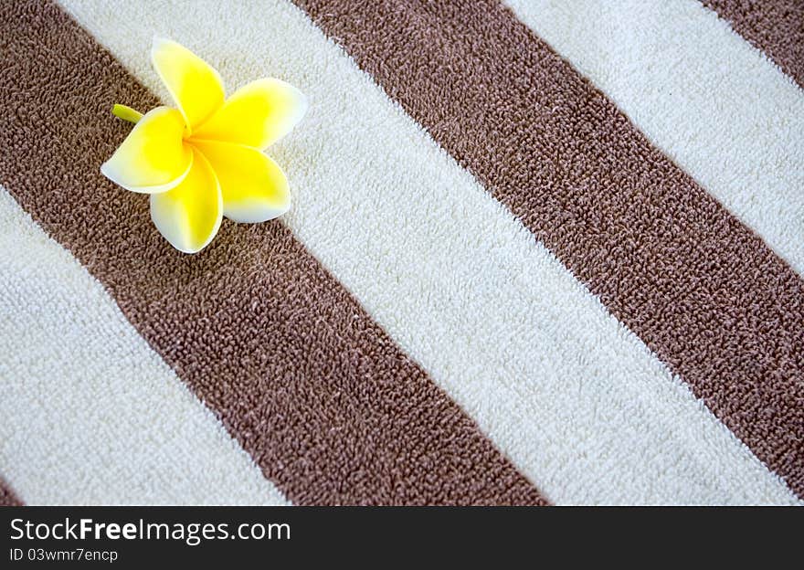 Beach towel background an a flower