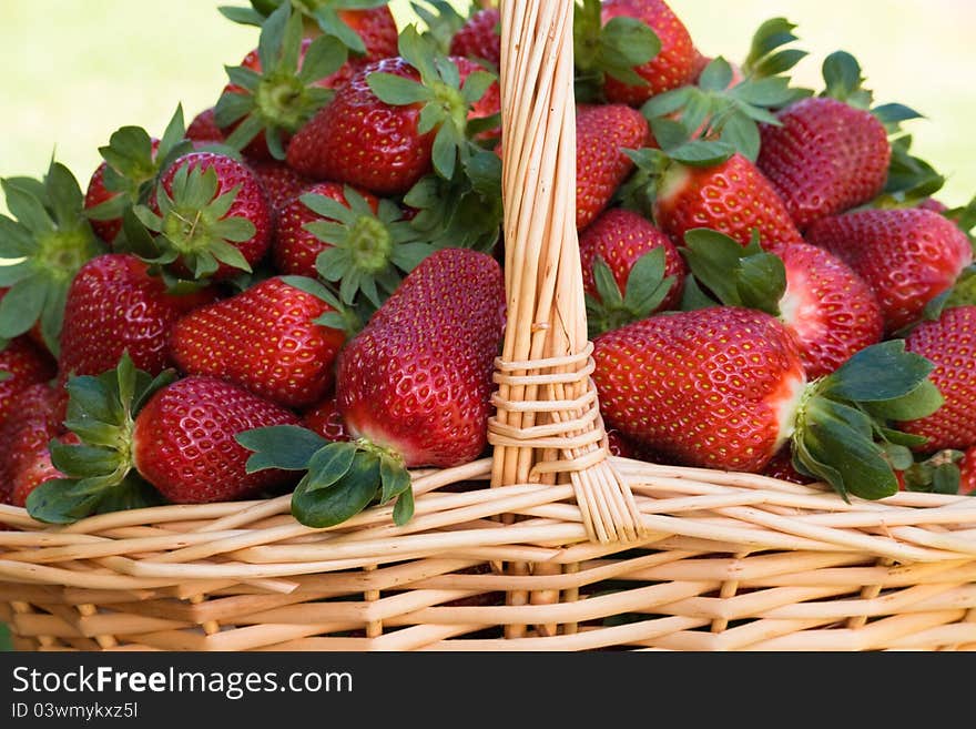 Strawberries in the basket close-up.