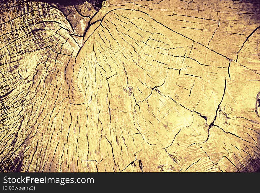 Felling in style vintage. Wooden texture in grunge background. Felling in style vintage. Wooden texture in grunge background