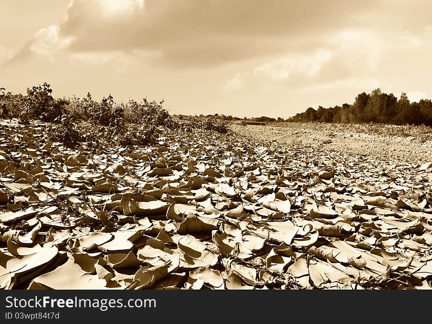 Dry river with nice sky in summer. Dry river with nice sky in summer