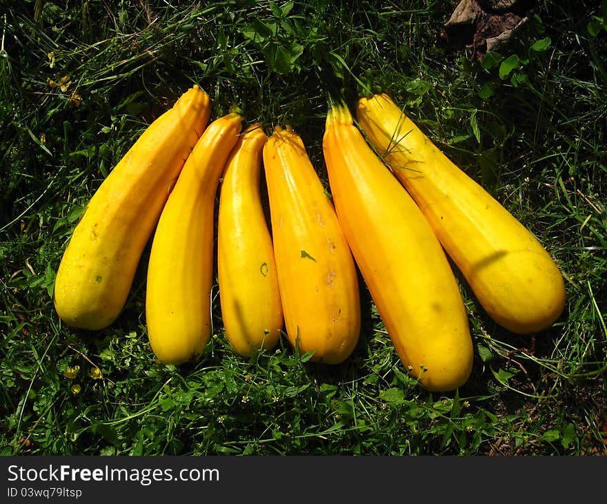 Delicious Fruit Squash