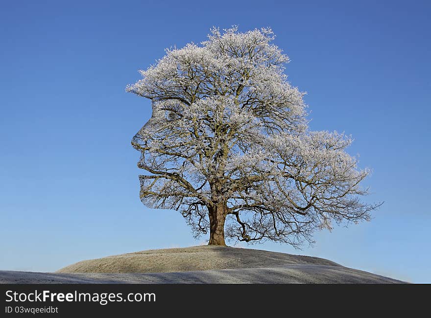 Frosty tree lady silhouette with long hairs. Frosty tree lady silhouette with long hairs