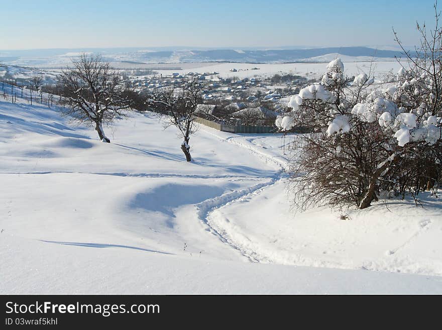 the Beautiful winter rural landscape.