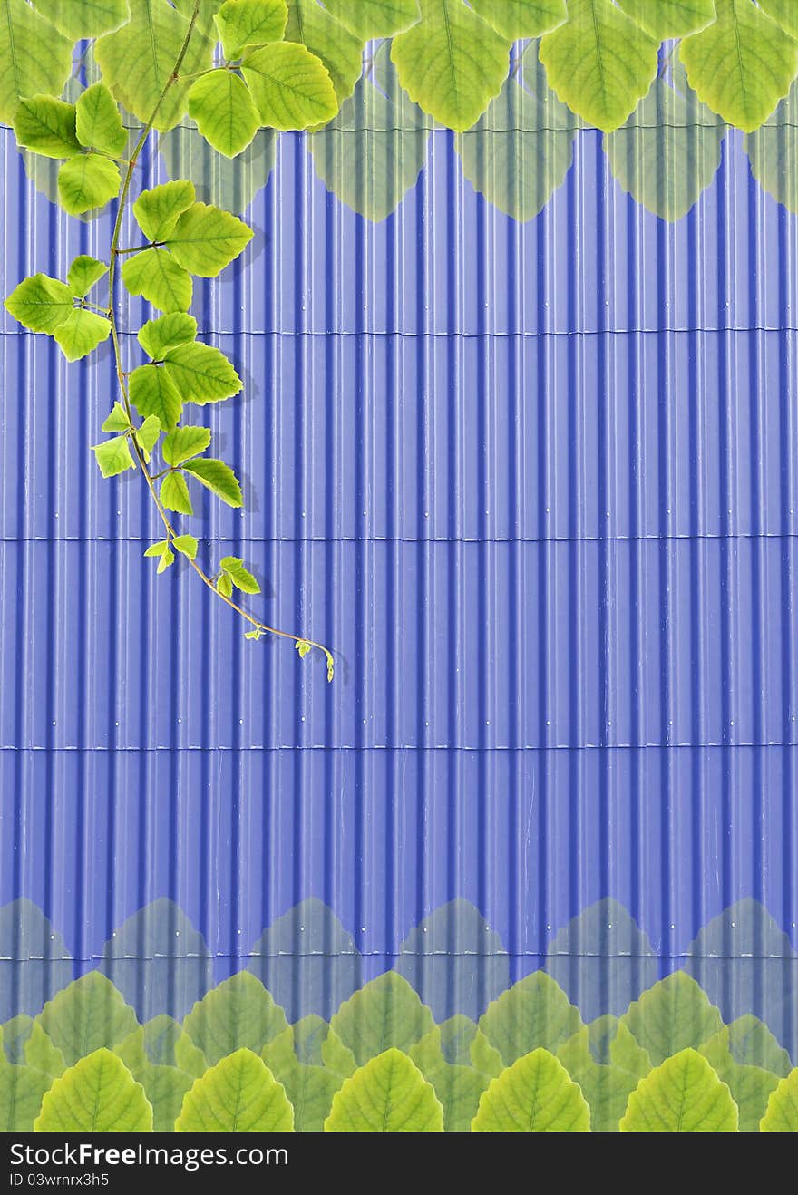 Green leafs texture on blue roof-tile background. Green leafs texture on blue roof-tile background.