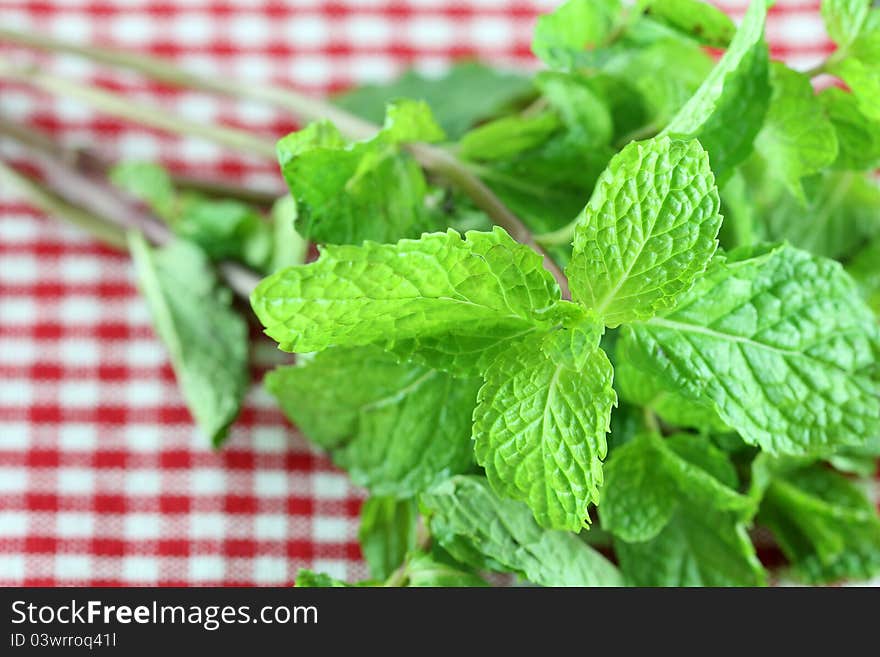 Fresh mint on on a Checkered table cloth