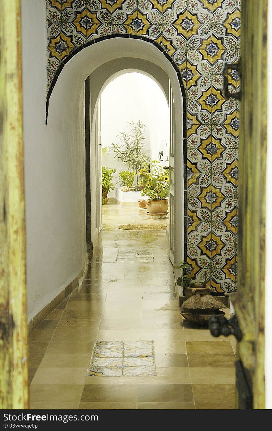 looking into Tunisian alley and courtyard with plants. looking into Tunisian alley and courtyard with plants