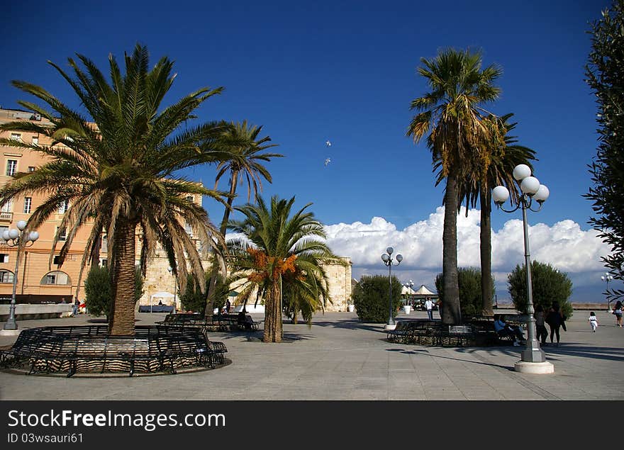 Square With Palms And Benches.