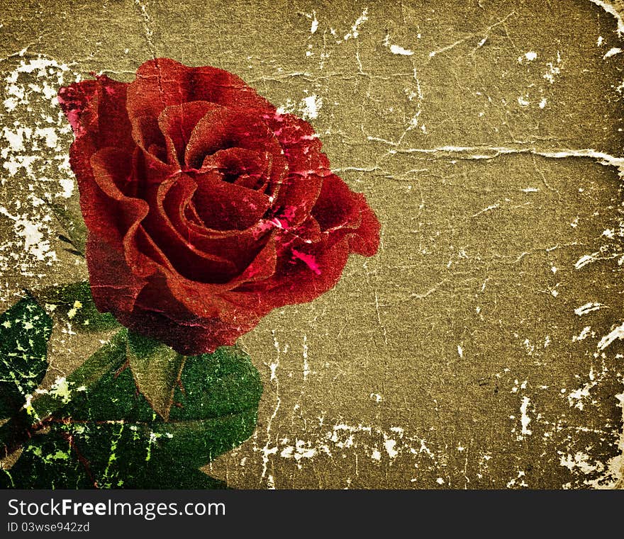 Beautiful red rose on a retro background for your design