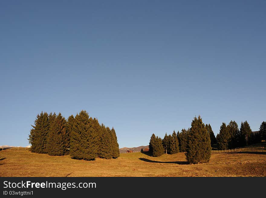 Autumnal Landscape