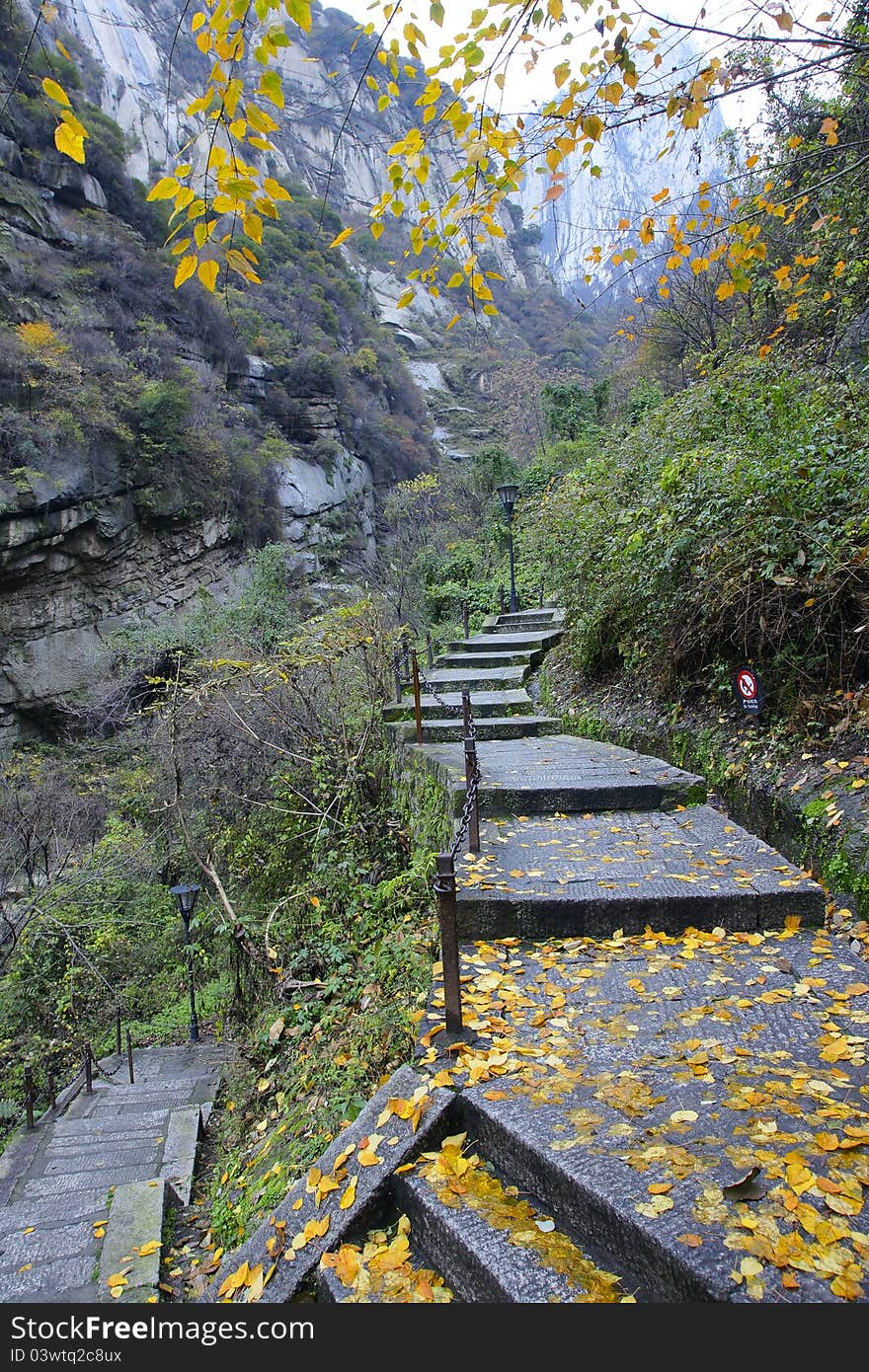 Autumnal mountain footpath