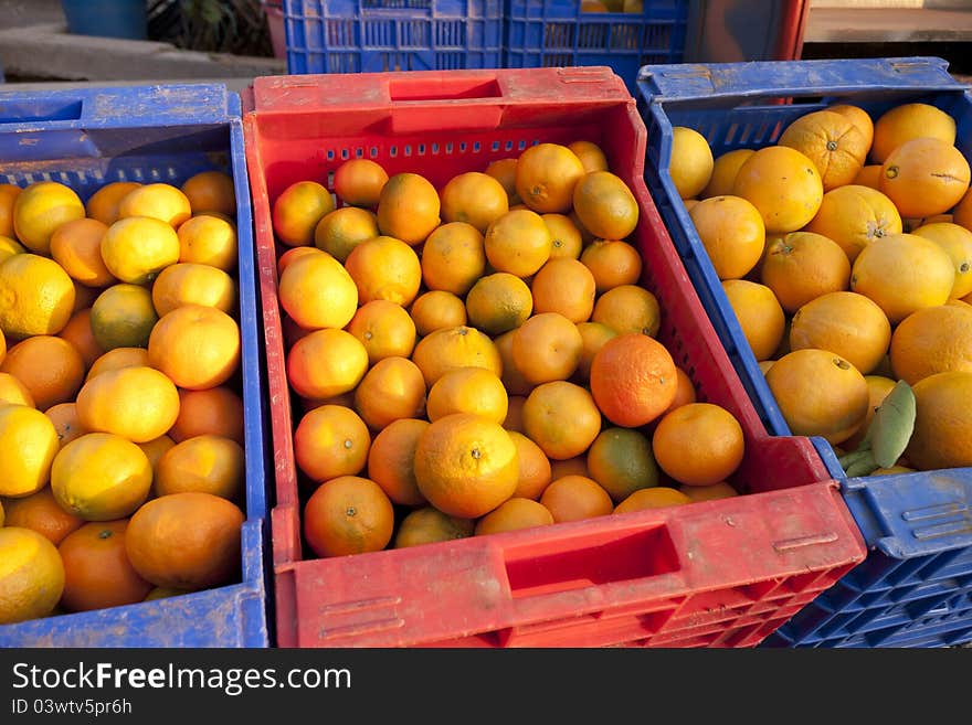 Oranges and tangerines