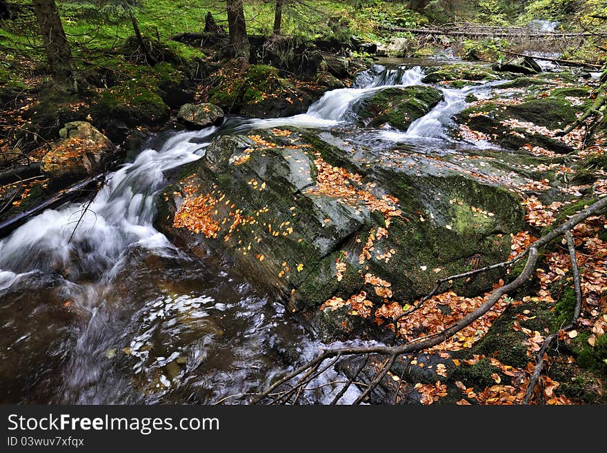 The river White Opava in the Jeseniky in the Czech Republic