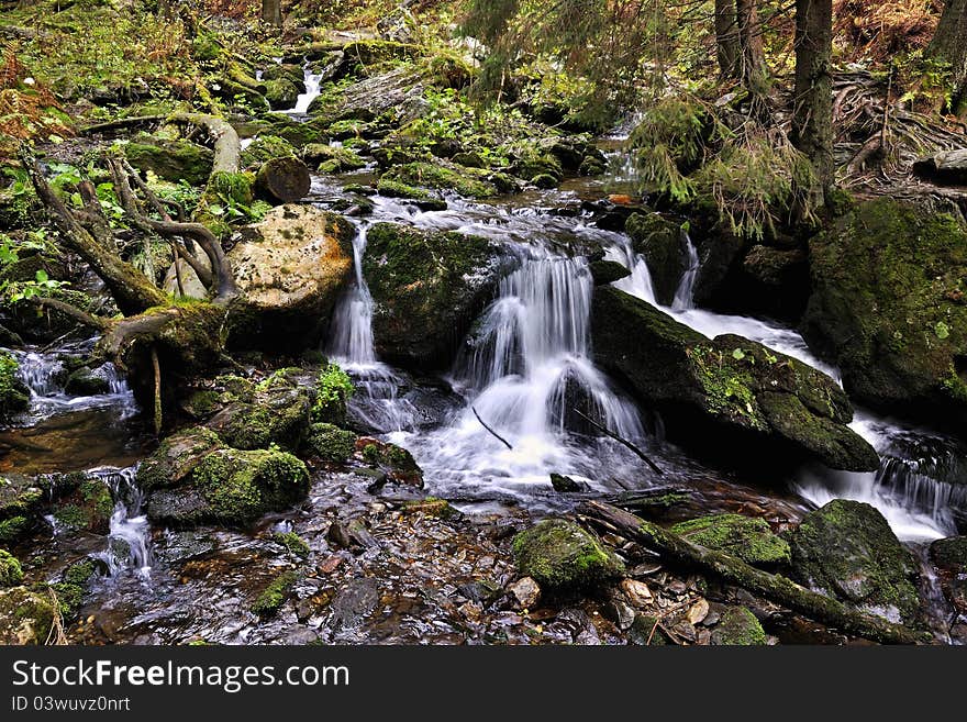 The river White Opava in the Jeseniky in the Czech Republic