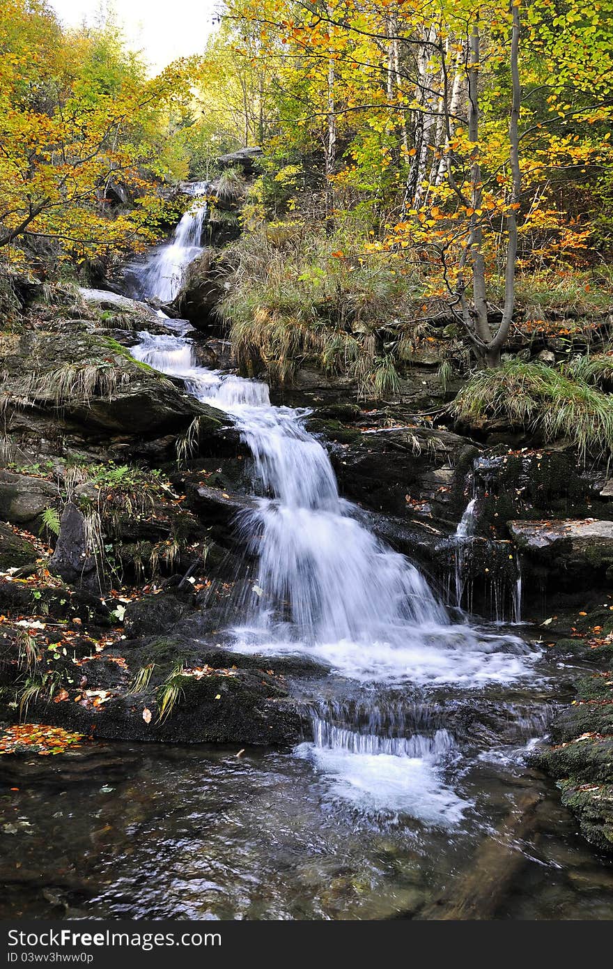 The stream Borovy in the Jeseniky in the Czech Republic. The stream Borovy in the Jeseniky in the Czech Republic