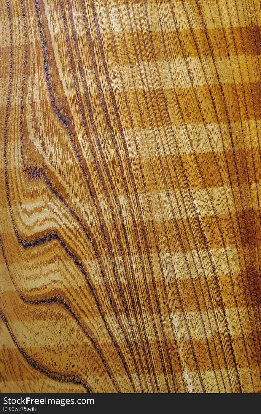 Detail the structure of wood, abstract background