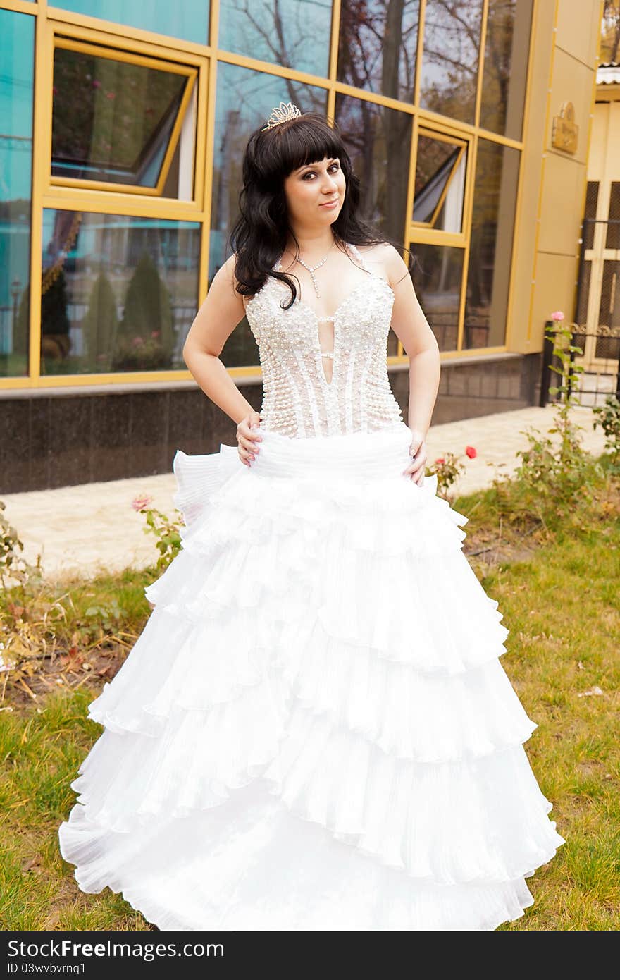 A Portrait Of A Beautiful Happy Bride