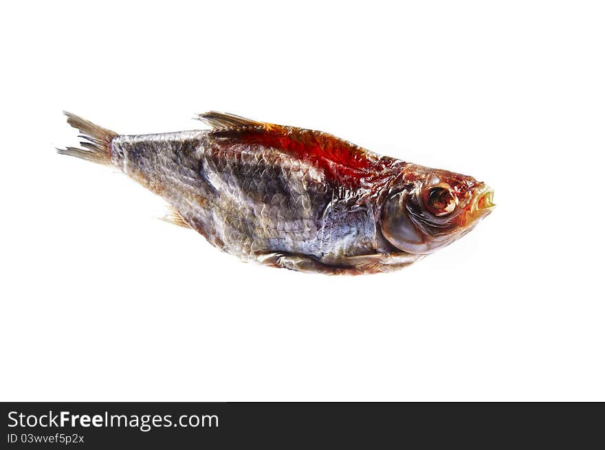 One dried fishes on a white background