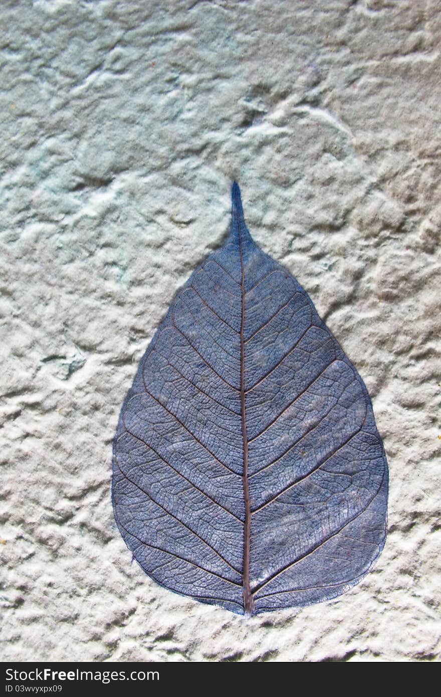 Dries leaves attached on mulberry paper are use to the wallpaper or gift wrapping paper ,Symbol of nature