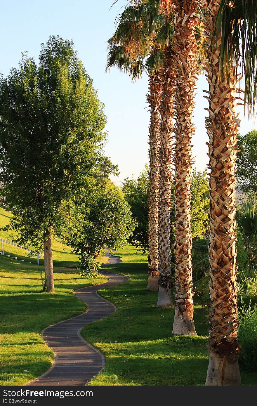 Park with palm trees and sidewalk curving through middle. Park with palm trees and sidewalk curving through middle.