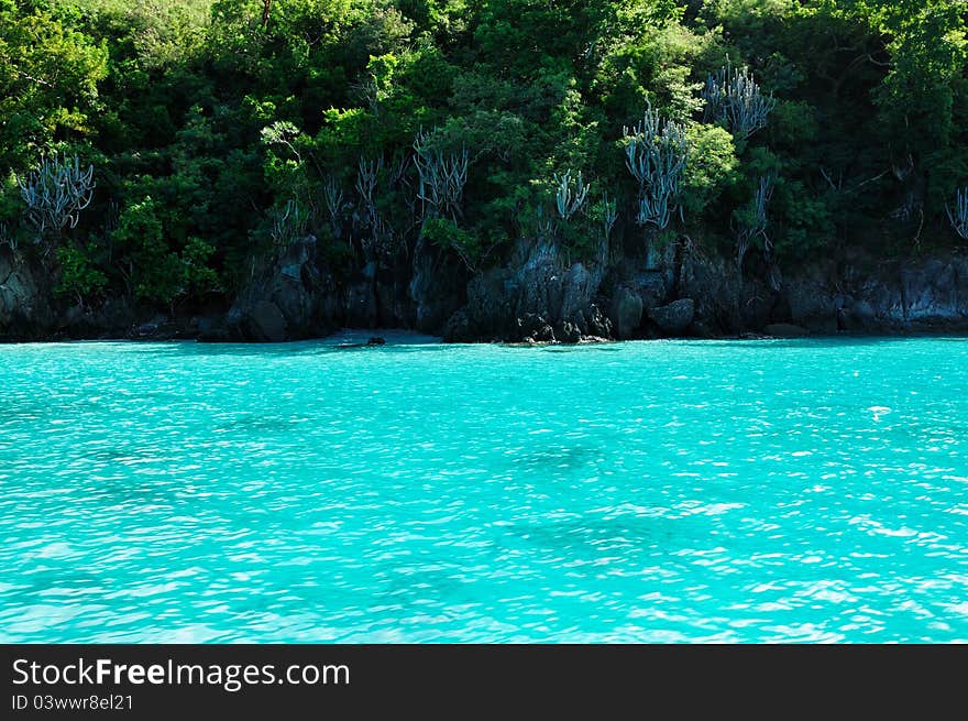 Tropical Coastline on St. John, US Virgin Island