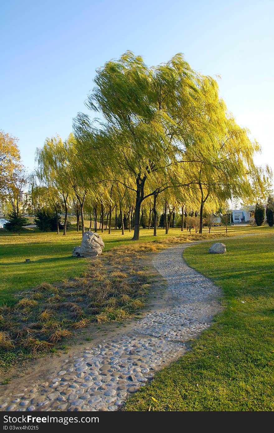 Autumnal scenery in the park