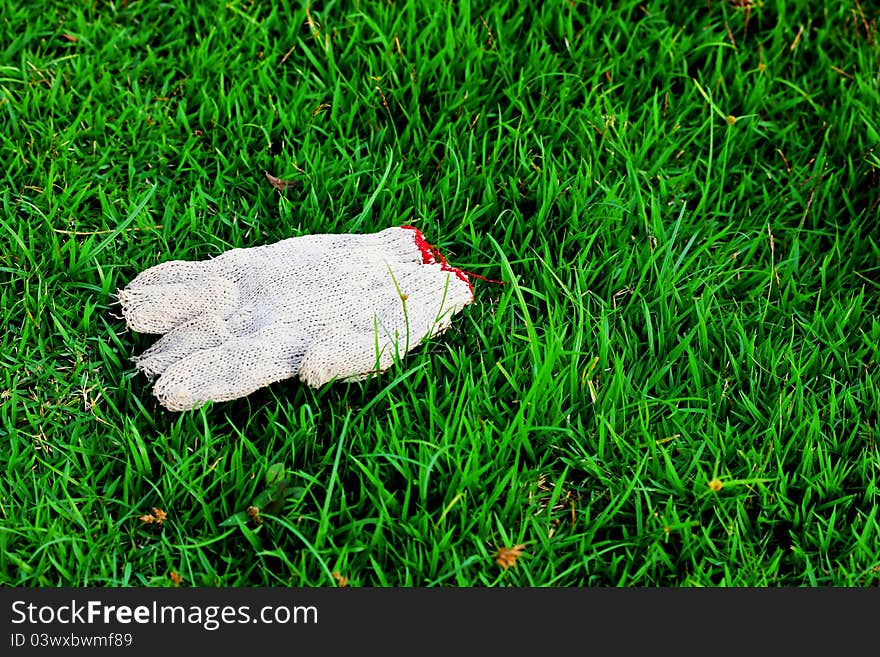 Garbage on the lawn. To keep clean. Garbage on the lawn. To keep clean