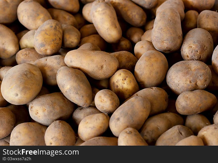 Fresh Pick Potatoes On Sale at Farmers Market. Fresh Pick Potatoes On Sale at Farmers Market