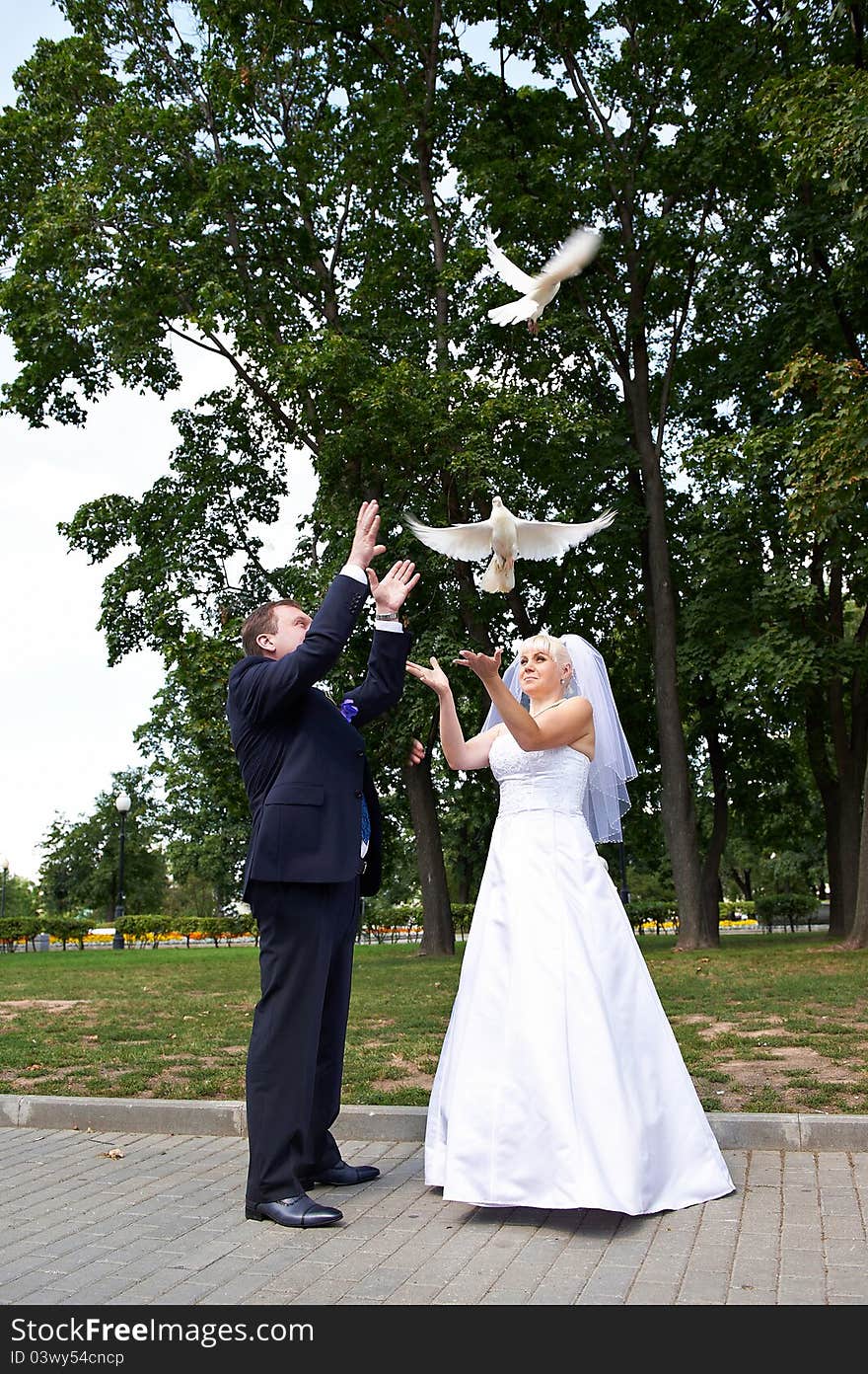 Newlyweds release pigeons