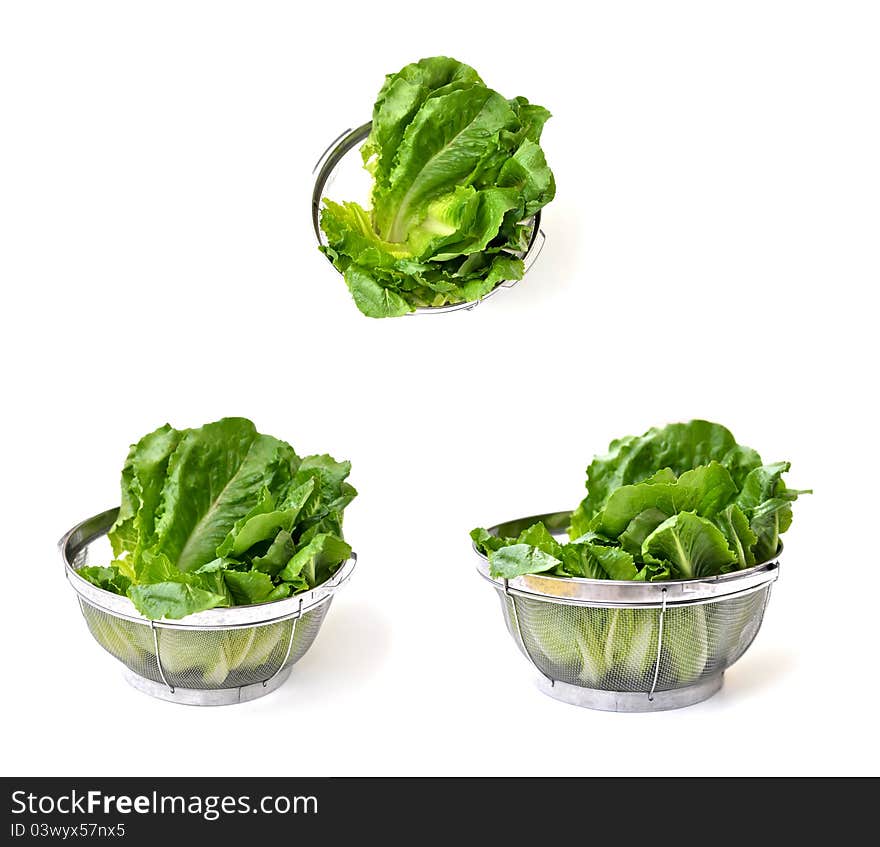 Dried fresh lettuce as a salad ingredient. Dried fresh lettuce as a salad ingredient.