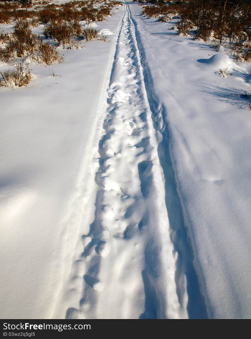 Traces of sledge on the snow in sunny winter day.