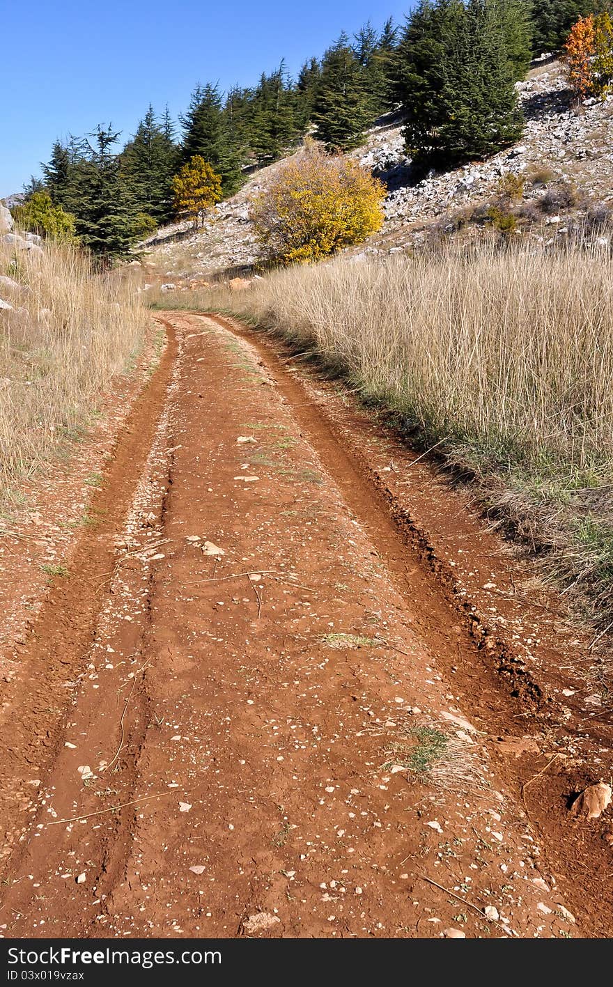 A walking trail along Barouk Cedars of Lebanon. A walking trail along Barouk Cedars of Lebanon