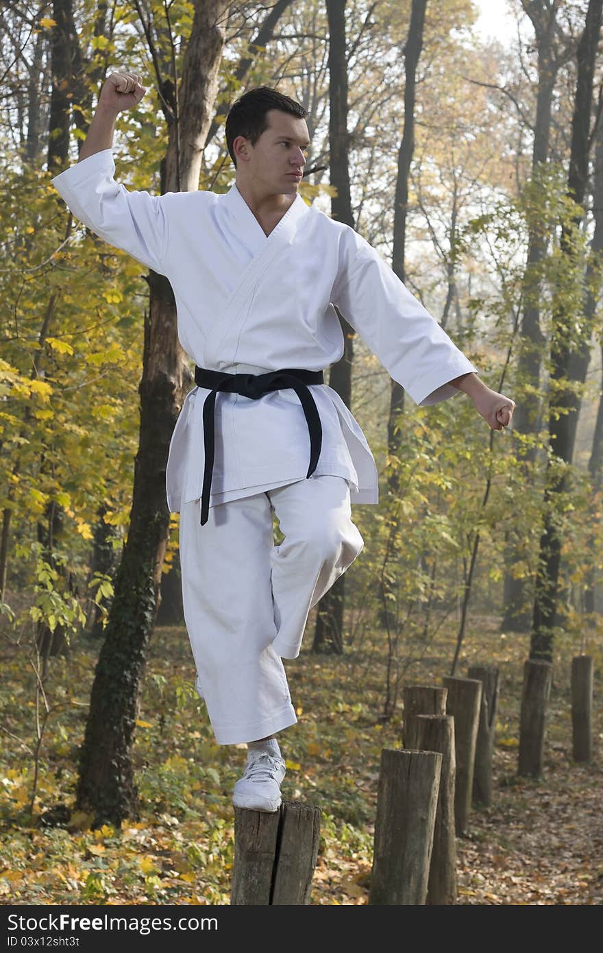 Karate in forestry