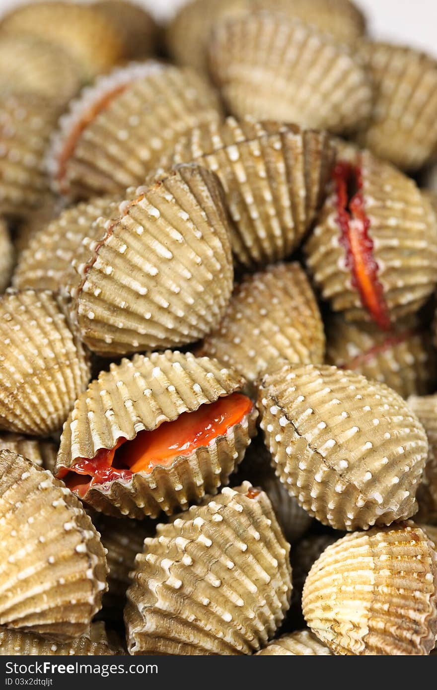 A fresh cockles for sale at a market, southern of Thailand