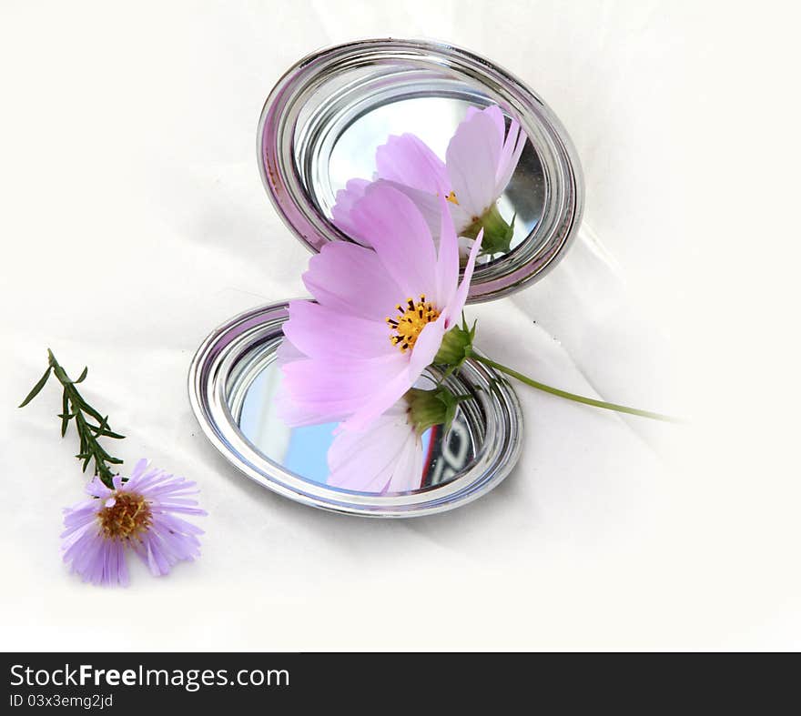 Mirror And Flower S