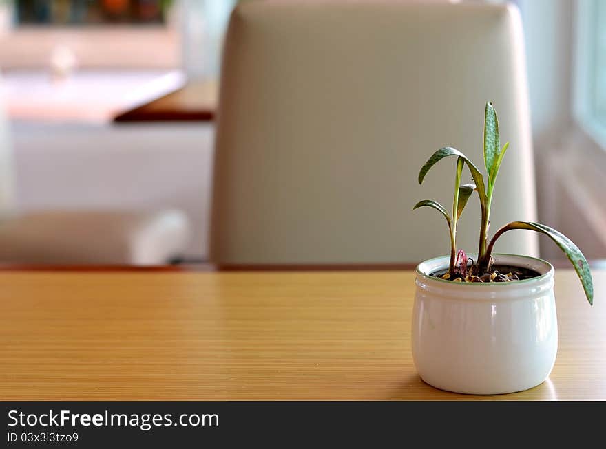 Table decor with plants