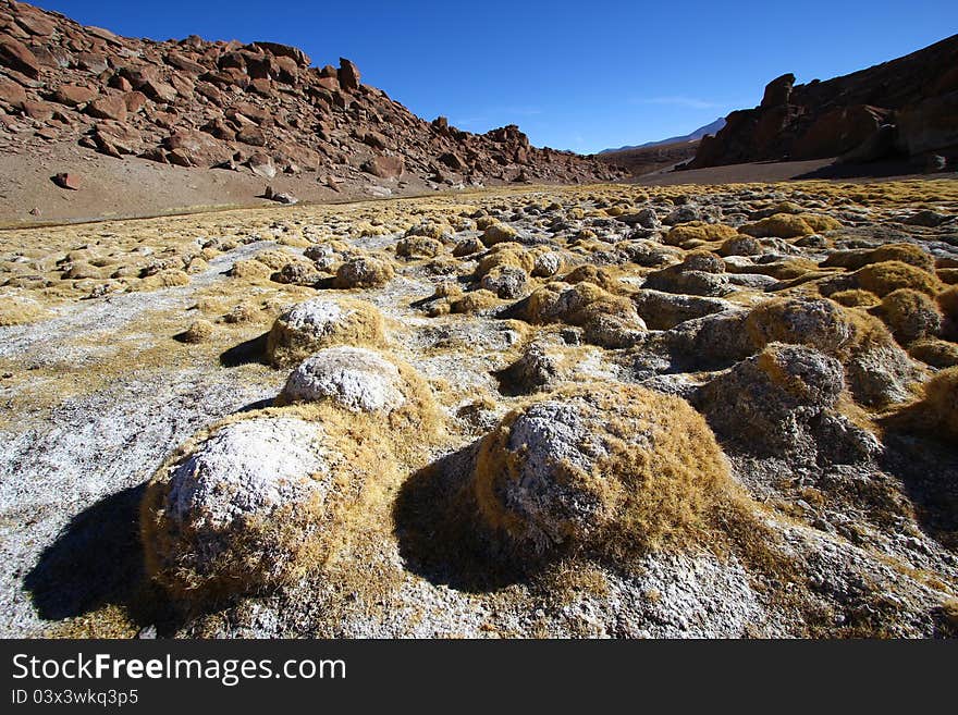 The driest desert on earth, Atacama desert, Chile