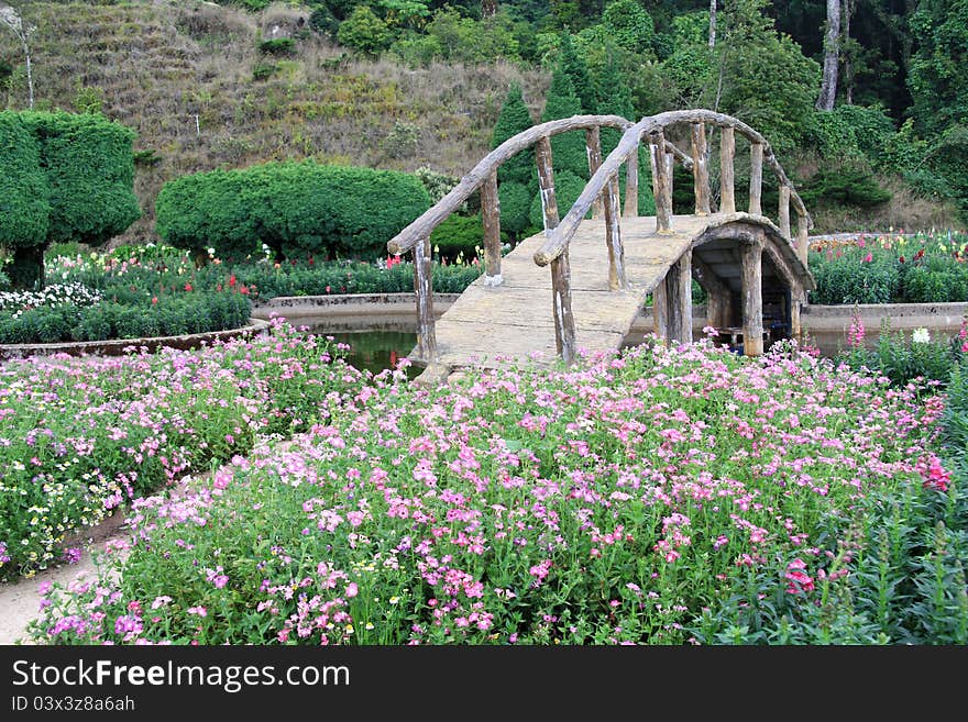 Garden and a wooden bridge at Doi Inthanon National Park, Chiangmai - Thailand. Garden and a wooden bridge at Doi Inthanon National Park, Chiangmai - Thailand